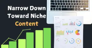 1. Narrow Down Toward Niche Content That is of Value, Focused, and Specialised