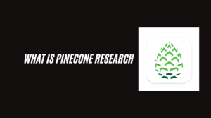 What is Pinecone Research