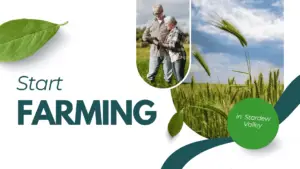 1. Farming: The Focal Point for Generating Profits